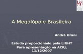 A Megalópole Brasileira André Urani Estudo proporcionado pela LIGHT Para apresentação na ACRJ, 11/12/2007.