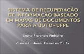 Bruno Florencio Pinheiro Orientador: Renato Fernandes Corrêa.