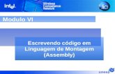 Modulo VI Escrevendo código em Linguagem de Montagem (Assembly)