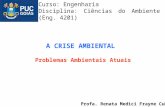 A CRISE AMBIENTAL Problemas Ambientais Atuais Profa. Renata Medici Frayne Cuba Curso: Engenharia Disciplina: Ciências do Ambiente (Eng. 4201)