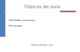 Tópicos de aula PROFESSORA: Luciana Souza Amostragem. Amostragem. FEIRA DE SANTANA - 2013.