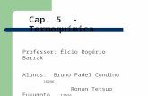 Cap. 5 - Termoquímica Professor: Élcio Rogério Barrak Alunos: Bruno Fadel Condino 16996 Ronan Tetsuo Fukumoto 17026.