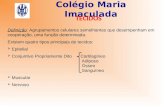 Colégio Maria Imaculada TECIDOS Definição: Agrupamentos celulares semelhantes que desempenham em cooperação, uma função determinada. Existem quatro tipos.