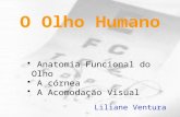 O Olho Humano Anatomia Funcional do Olho A córnea A Acomodação Visual Liliane Ventura.