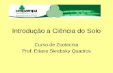Introdução a Ciência do Solo Curso de Zootecnia Prof. Etiane Skrebsky Quadros.