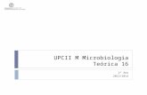 UPCII M Microbiologia Teórica 16 2º Ano 2013/2014.