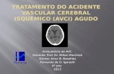 Ambulatório de AVC Docente: Prof. Dr. Milton Marchioli Alunos: Artur B. Batalhão Fernanda de O. Igarashi 4º ano 2013.