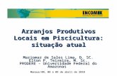 Arranjos Produtivos Locais em Piscicultura: situação atual Mariomar de Sales Lima, D. SC. Elton P. Teixeira, M. Sc. PRODERE - Universidade Federal do Amazonas.