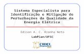 Sistema Especialista para Identificação e Mitigação de Perturbações da Qualidade da Energia Elétrica Edison A. C. Aranha NetoLabPlan/UFSC.
