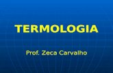 Prof. Zeca Carvalho. TERMOLOGIA Ramo da Física que estuda os fenômenos relacionados ao aquecimento e resfriamento dos corpos. Termo + logia TemperaturaEstudo.