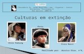 Escola Secundária Dr. Jaime Magalhães Lima – Esgueira – Aveiro Disciplina: Psicologia B Ano lectivo: 2009/10 Culturas em extinção Realizado por: Jéssica.