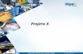 PGP 2012 – Algar Telecom Projeto X. PGP 2012 – Algar Telecom Equipe: Objetivo: 1 – Carla Beatriz Cardoso Fedrigo – Coordenação de Negócios Varejo 2 –