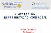A GESTÃO DA REPRESENTAÇÃO COMERCIAL Prof. Otílio Rodrigues.