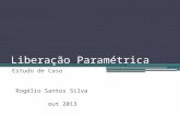Liberação Paramétrica Estudo de Caso Rogélio Santos Silva out 2013.