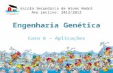 Engenharia Genética Caso 6 - Aplicações ambientais Escola Secundária de Alves Redol Ano Lectivo: 2012/2013.