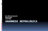 Dr. Marcel Jaqueto Nefrologia CCS-UEL. Anamnese  Identificação - toda e qualquer anamnese  Nome  Sexo  Idade  Raça  Procedência/Residência  Profissão/Local.
