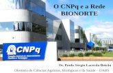 O CNPq e a Rede BIONORTE Dr. Paulo Sérgio Lacerda Beirão Diretoria de Ciências Agrárias, Biológicas e da Saúde – DABS.
