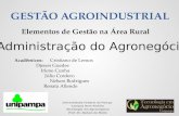 GESTÃO AGROINDUSTRIAL Universidade Federal do Pampa Campus Dom Pedrito Tecnologia em Agronegócio Prof. Dr. Nelson de Mello 1 Administração do Agronegócio.