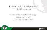 Cultivo de cucurbitáceas biodinâmicas Palestrante: Júlio César Soraggi Consultor da ABD Associação Biodinâmica.