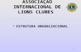 1 ASSOCIAÇÃO INTERNACIONAL DE LIONS CLUBES ESTRUTURA ORGANIZACIONAL.
