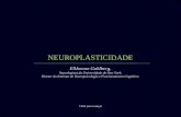 NEUROPLASTICIDADE Click para avançar Elkhonon Goldberg, Neurologista da Universidade de New York, Diretor do Instituto de Neuropsicología e Funcionamento.
