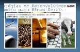 Estratégias de Desenvolvimento Econômico para Minas Gerais DESAFIOS E EXPERIÊNCIAS NAS QUESTÕES DE INFRA-ESTRUTURA Vitória - 21 DE JUNHO DE 2007.