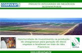 1  Oportunidade de investimento na produção de oleaginosas para geração de óleos vegetais e biodiesel no Vale do São Francisco PROJETO.