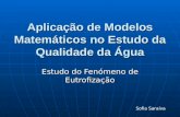 Aplicação de Modelos Matemáticos no Estudo da Qualidade da Água Estudo do Fenómeno de Eutrofização Sofia Saraiva.