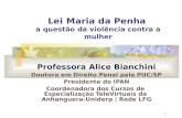 1 Lei Maria da Penha a questão da violência contra a mulher Professora Alice Bianchini Doutora em Direito Penal pela PUC/SP Presidente do IPAN Coordenadora.