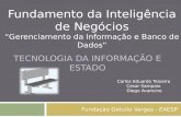 TECNOLOGIA DA INFORMAÇÃO E ESTADO Fundação Getulio Vargas - EAESP Fundamento da Inteligência de Negócios “Gerenciamento da Informação e Banco de Dados”