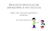 BIOLOGIA MOLECULAR (BIOQUÍMICA DA CÉLULA) Água, sais, açucares, gorduras e proteínas. prof.magrao@gmail.com.