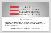 Silvia M Calou Diretora Presidente e Diretora de Regulação Técnica e Fiscalização dos Serviços de Distribuição de Gás Canalizado ABCE - DESENVOLVIMENTO.