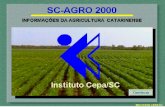 Informações sobreSC e seu territórioprodutos agrícolas e pesqueirosos municípios catarinenseslegislação agrícolainstituições ligadas ao setor agrícolaindicadores.