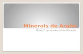 Minerais de Argila Tipos, Propriedades e Identificação.