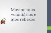 Movimentos voluntários e atos reflexos. Movimentos voluntários Estímulo sensorial Neurónios sensoriais Neurónios motores Integração da informação Determinação.