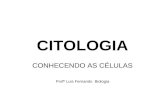 CITOLOGIA CONHECENDO AS CÉLULAS Profº Luis Fernando Biologia.