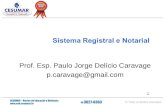 1 Prof. Esp. Paulo Jorge Delício Caravage p.caravage@gmail.com.