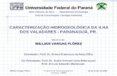 William Vargas FlórezPrograma de Pós-Graduação em Geologia - UFPR 24 de Junho de 2005 Setor Ciências da Terra – Departamento de Geologia CARACTERIZAÇÃO.