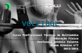 V OLEIBOL Curso Profissional Técnico de Multimédia Educação Física Professor António Valente Diana Ribeiro nº7 2013/2014.