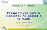 1 Perspectivas para o Biodiesel no Brasil e no Mundo AGRENER 2006 GUALTER REZENDE BARBOSA ENGENHEIRO DE VENDAS DEDINI S/A INDÚSTRIAS DE BASE 08 DE JUNHO.