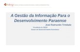 A Gestão da Informação Para o Desenvolvimento Paraense José Raimundo Trindade Presidente do IDESP Doutor em Desenvolvimento Econômico.