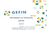 Atividades no Trimestre GEFIN Brasília/DF Agosto/2014 Presidente – Célia Carvalho(MG) Coordenação Executiva – Augusto Monteiro(BA) Coordenação Adm-financeira