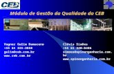 Módulo de Gestão da Qualidade da CEB Clóvis Simões +55 61 340-8486 simoes@spinengenharia.com.br  Vagner Gulim Damaceno +55 61.