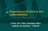 Segurança Química em Laboratórios Profa. Dra. Mary Santiago Silva Instituto de Química - UNESP.