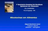 Micotoxinas em Alimentos Miguel Machinski Junior Professor Adjunto UEM/DAC – Maringá/PR Iº Seminário Estadual de Resíduos Químicos em Alimentos 22 a 24/09/2004.