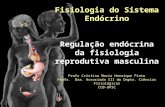 Fisiologia do Sistema Endócrino Regulação endócrina da fisiologia reprodutiva masculina Profa Cristina Maria Henrique Pinto Profa. Dra. Associada III do.