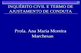 INQUÉRITO CIVIL E TERMO DE AJUSTAMENTO DE CONDUTA Profa. Ana Maria Moreira Marchesan.