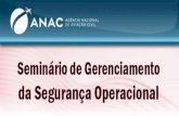 Prevenção de Acidentes Aeronáuticos pela Agência Nacional de Aviação Civil (ANAC) 01 de novembro de 2013.