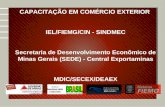 CAPACITAÇÃO EM COMÉRCIO EXTERIOR IEL/FIEMG/CIN - SINDMEC Secretaria de Desenvolvimento Econômico de Minas Gerais (SEDE) - Central Exportaminas MDIC/SECEX/DEAEX.