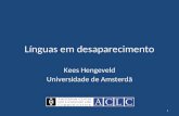 Línguas em desaparecimento Kees Hengeveld Universidade de Amsterdã.